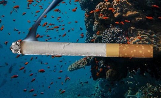Cette cigarette tanche vous permet de fumer sous l'eau - Science Info